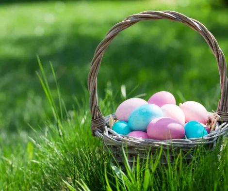 What does an OT like to see in an Easter Basket?
