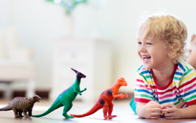 Successful Play Spaces