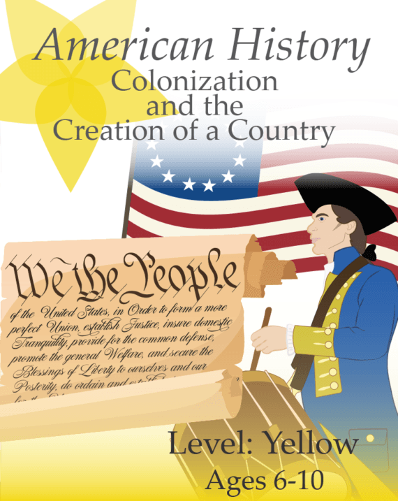 American History Cover Art