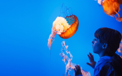 Science is Everywhere