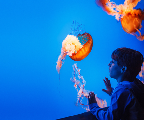 Science is Everywhere