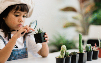 Montessori Education: Does it work at Home?