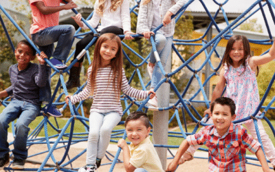 Is Inclusion the Best Educational Option?