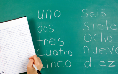 Excelerate Spanish: A Curriculum Review